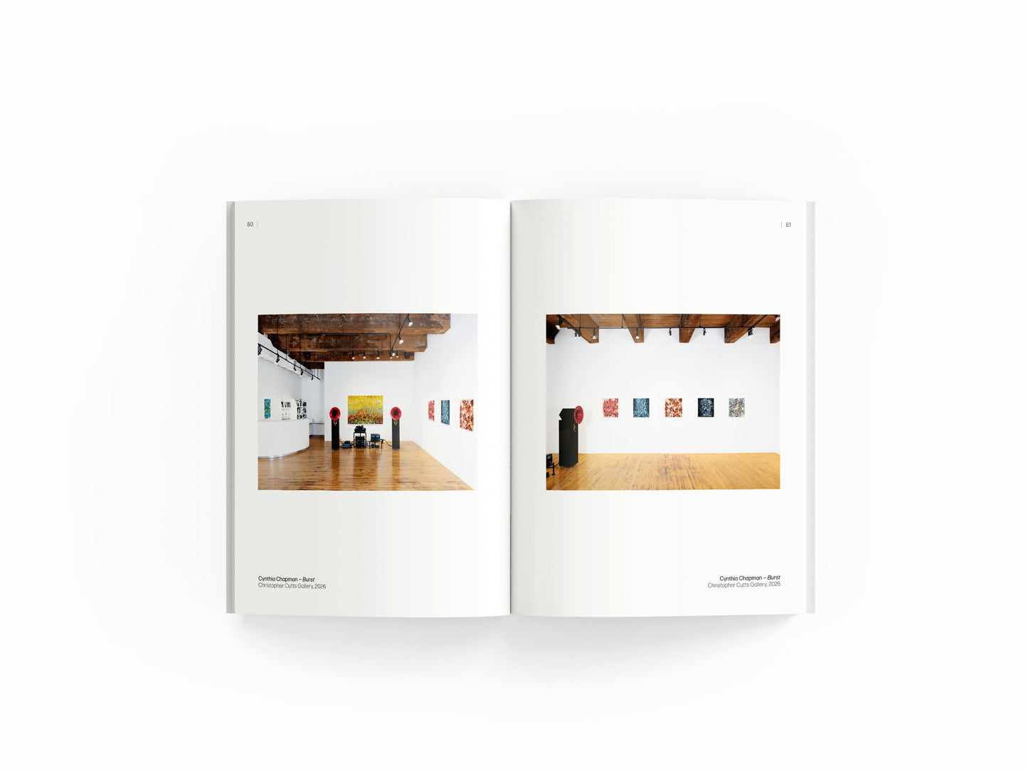 Cynthia Chapman - Burst